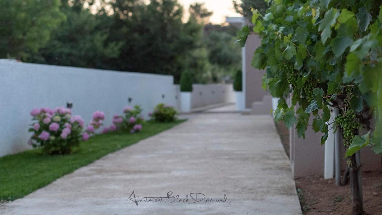 Apartment Black Diamond ราชานาส ภายนอก รูปภาพ